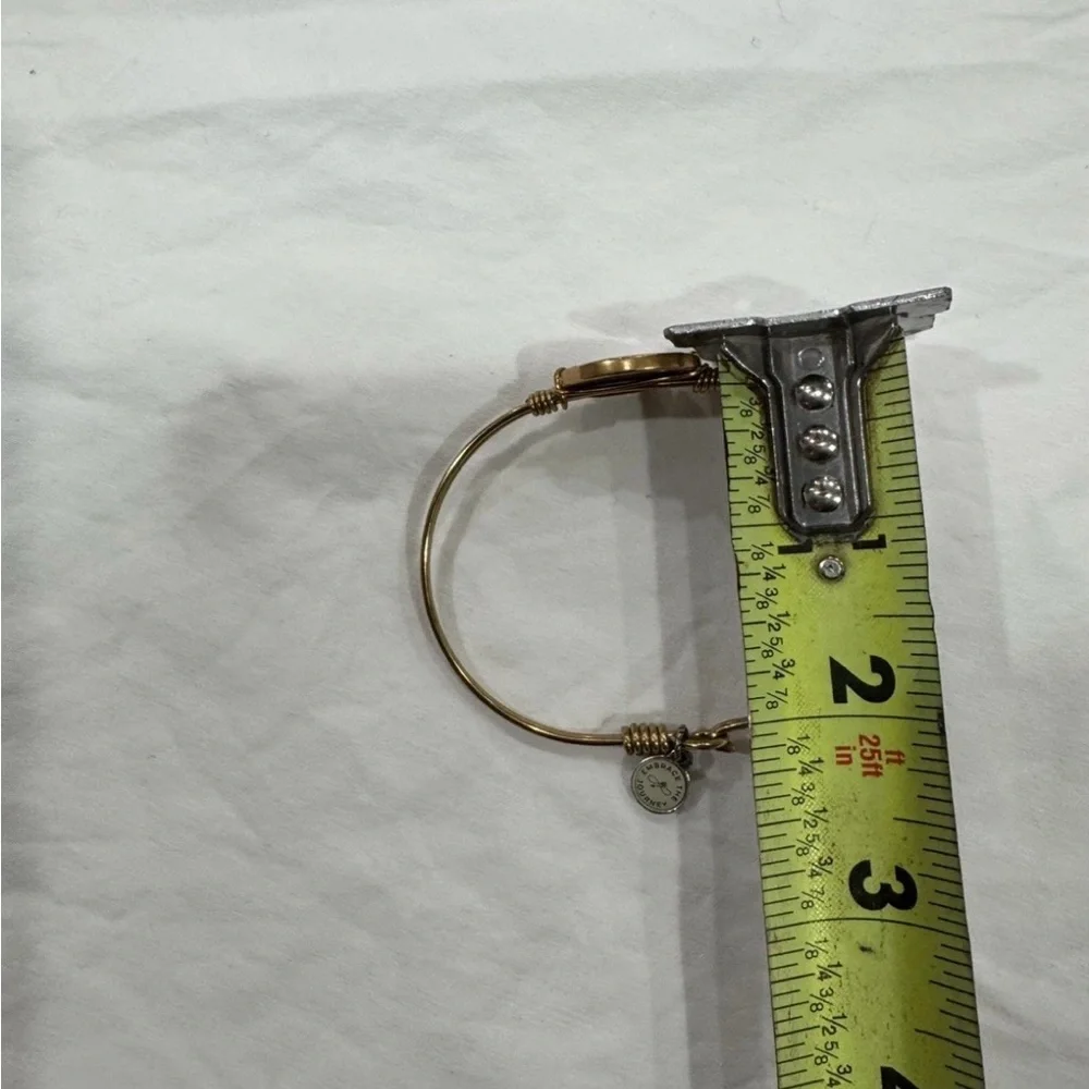Luci‎ + Dani cardinal bangle bracelet NWOT